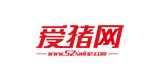 愛豬網(wǎng)